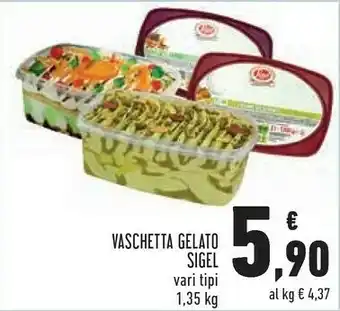 Conad Sigel Vaschetta Gelato offerta