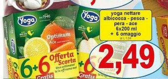 Gros Mozzarella di bufala offerta