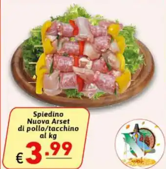 Ipercarni Spiedino Nuova Arset di pollo /Tacchino offerta