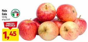 DPiù Mele Gala 1.5 kg offerta