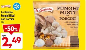 DPiù Le Gioiose Funghi Misti Con Porcini 1 kg offerta