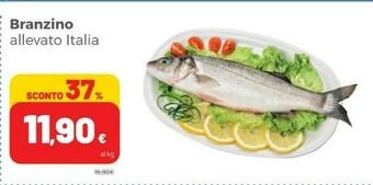 Coop Branzino offerta