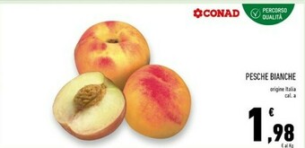 Conad Superstore Pesche offerta
