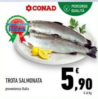 Conad Superstore Trota offerta