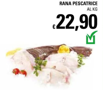 Basko Rana Pescatrice offerta