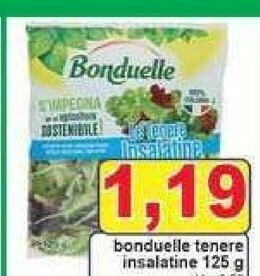 Gros Insalata offerta
