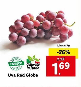 Lidl Uva red globe offerta