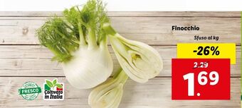 Lidl Finocchio offerta