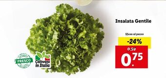 Lidl Insalata gentile offerta