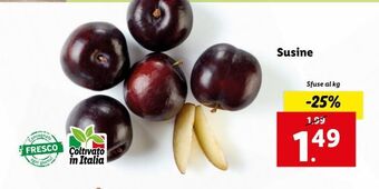 Lidl Susine offerta
