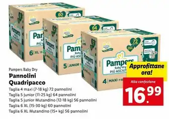Lidl Pannolini quadripacco offerta