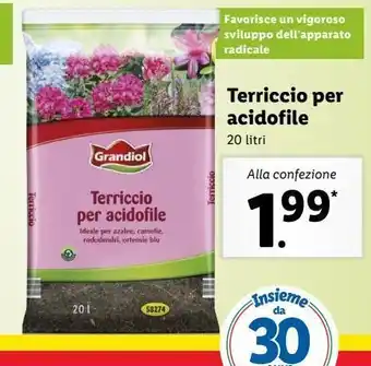 Lidl Terriccio per acidofile offerta