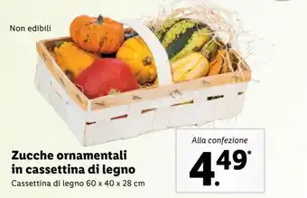 Lidl Zucche ornamentali in cassettina di legno offerta