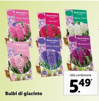 Lidl Bulbi di giacinto offerta
