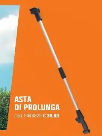 Asta di prolunga
