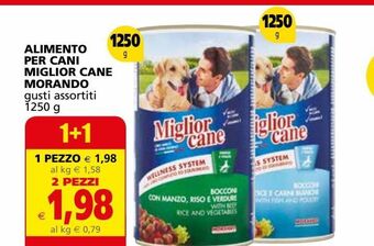 Il Gigante Alimento per cani miglior cane morando offerta