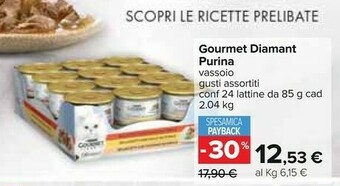 Carrefour Purina Cibo per gatti offerta