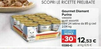 Carrefour Purina Cibo per gatti offerta