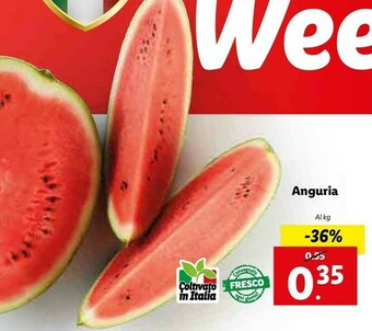 Lidl Anguria offerta