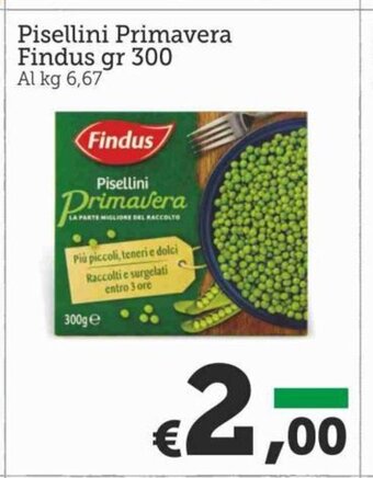 Pisellini Primavera Findus gr 300