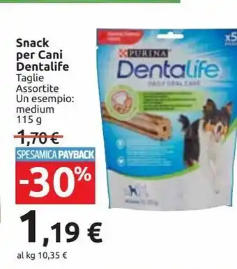 Carrefour Market Snack per cani dentalife offerta