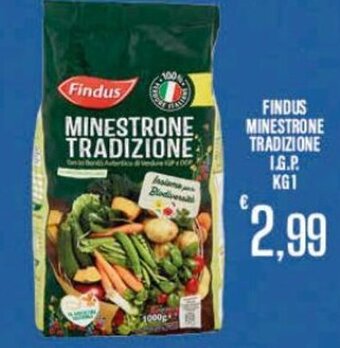 Supermercati EffePiù Findus Minestrone Tradizione I.G.P. 1 kg offerta