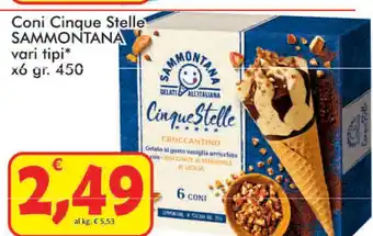 Paghi Poco Sammontana Coni Cinque Stelle 6x450gr offerta