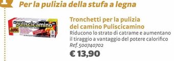 Bricocenter Tronchetti per la pulizia del camino puliscicamino offerta