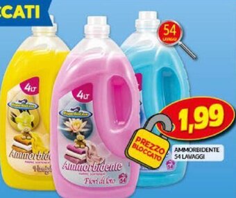 Risparmio Casa Ammorbidente 54 lavaggi offerta