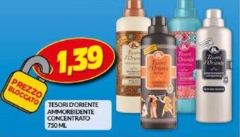 Risparmio Casa Tesori d'Oriente Ammorbidente Concentrato 750 ml offerta