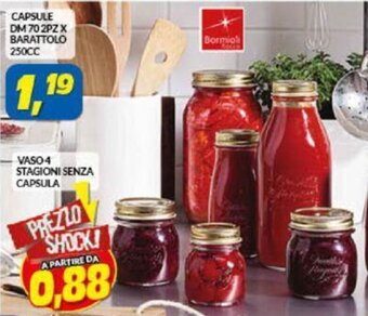 Risparmio Casa Capsule dm 70 2pz x Barattolo 250cc offerta
