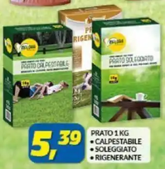 Risparmio Casa Prato 1 kg Capestabile/Soleggiato/Rigenerante offerta