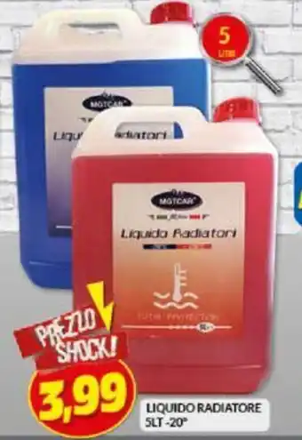 Risparmio Casa Liquido Radiatore 5 lt. -20° offerta