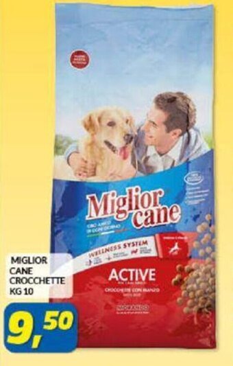 Risparmio Casa Miglior Cane Crocchette 10 kg offerta