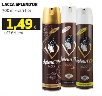 Splend'Or Lacca 300 ml vari tipi