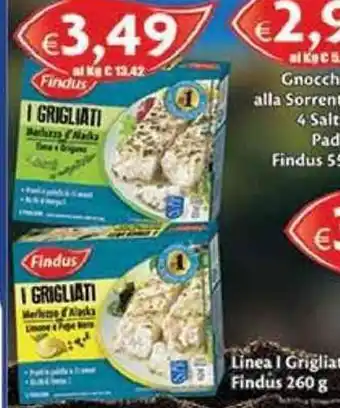 DEM Linea I Grigliati Findus 260g offerta