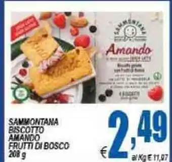 DEM Sammontana Biscotto Amando Frutti Di Bosco 208g offerta