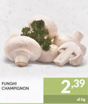Altasfera Funghi Champignon offerta