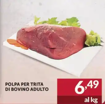 Altasfera Polpa per Trita di Bovino Adulto offerta