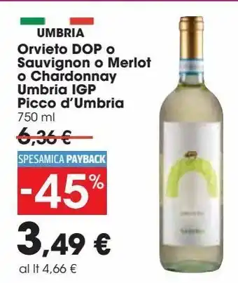Carrefour Iper Orvieto dop o sauvignon o merlot o chardonnay umbria igp picco d'umbria offerta