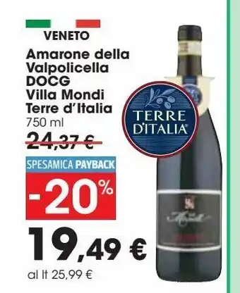 Carrefour Iper Amarone della valpolicella docg villa mondi terre d'italia offerta