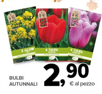 Todis Bulbi Autunnali offerta