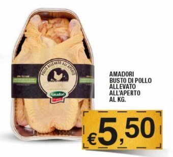 Ok Sigma Amadori Busto di Pollo Allevato All'Aperto al kg. offerta