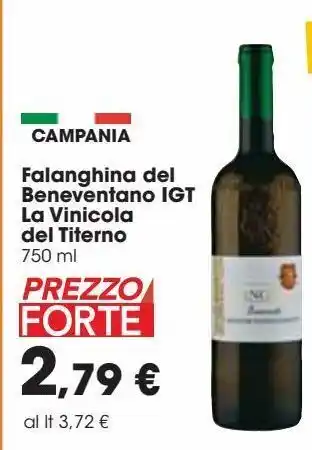 Falanghina del beneventano igt la vinicola del titerno