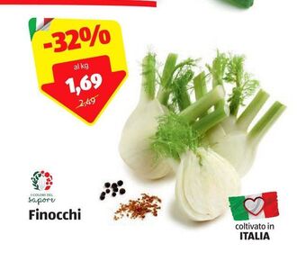 ALDI Finocchi offerta