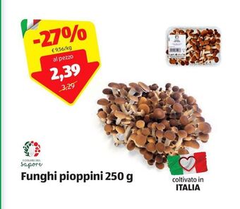 ALDI Funghi pioppini 250 g offerta