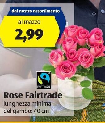 ALDI Rose fairtrade offerta