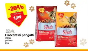ALDI Croccantini per gatti offerta