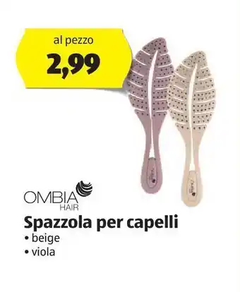 ALDI Spazzola per capelli offerta
