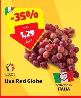ALDI Uva red globe offerta